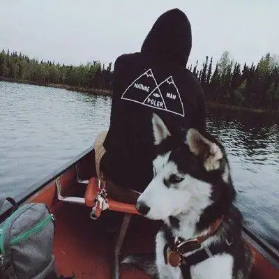 6686体育铁牌作者Wolfgang