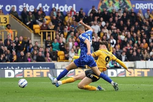 Wolves vs Leicester City